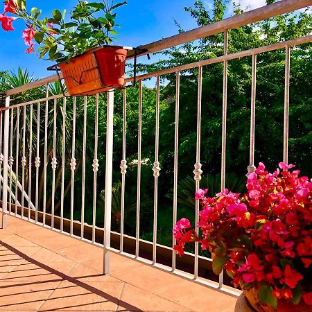 Vila Il Ciliegio Stella Cilento Exteriér fotografie