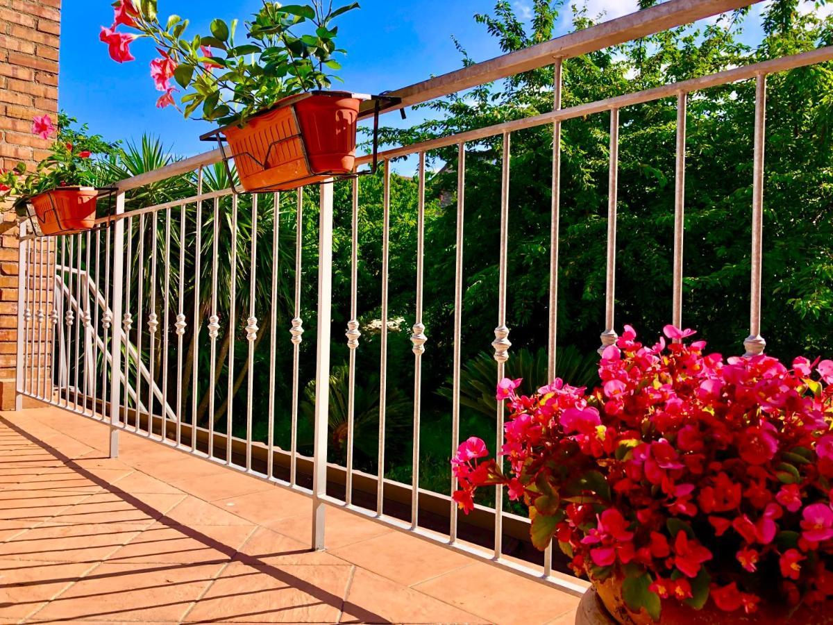 Vila Il Ciliegio Stella Cilento Exteriér fotografie