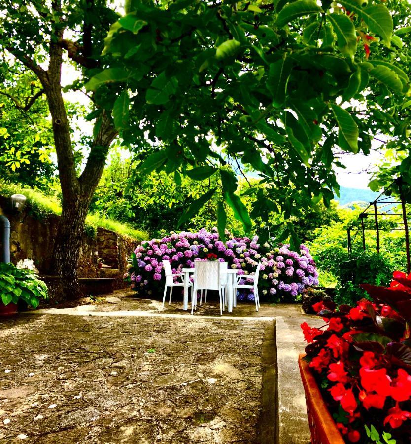 Vila Il Ciliegio Stella Cilento Exteriér fotografie